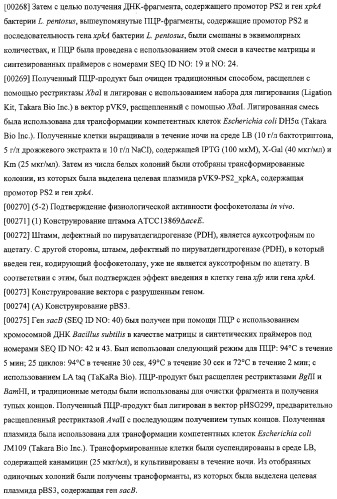 Использование фосфокетолазы для продукции полезных метаболитов (патент 2322496)