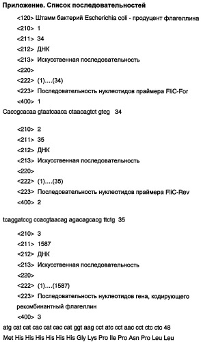 Штамм бактерий escherichia coli - продуцент рекомбинантного флагеллина (патент 2524133)