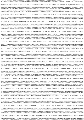 Применение s1p (патент 2362565)