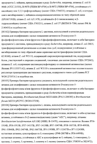 Использование фосфокетолазы для продукции полезных метаболитов (патент 2322496)