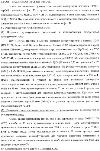 Агонистическое соединение, способное специфически узнавать и поперечно сшивать молекулу клеточной поверхности или внутриклеточную молекулу (патент 2430927)