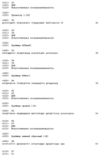 Ферментативное получение 1-бутанола (патент 2429295)