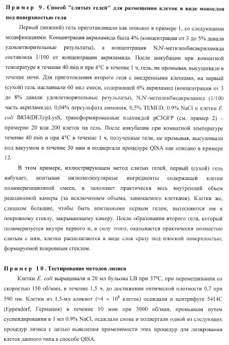 Бесконтактные способы обнаружения молекулярных колоний, наборы реагентов и устройство для их осуществления (патент 2394915)