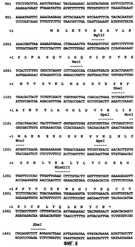 Предшественник инсулина, способ его получения и применение (патент 2283846)