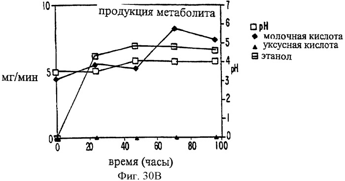 Соединение экстракта какао и способы их получения и применения (патент 2394562)