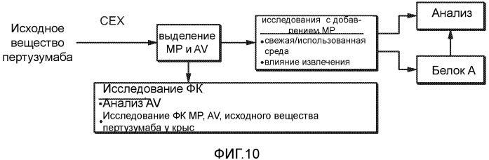 Композиция, содержащая антитело, которое связывается с доменом ii her2, и его кислые варианты (патент 2543664)