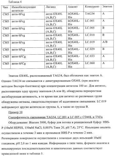 Антитела к ох40l (патент 2395523)