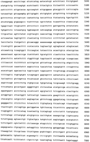Бактериофаг, обладающий активностью против pseudomonas aeruginosa, белки бактериофага и способы их применения (патент 2580248)
