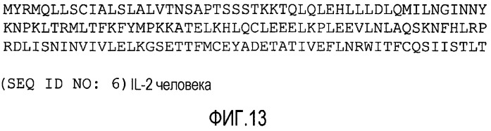 Композиция днк для вызова иммунного ответа против опухолеассоциированных макрофагов (патент 2459631)