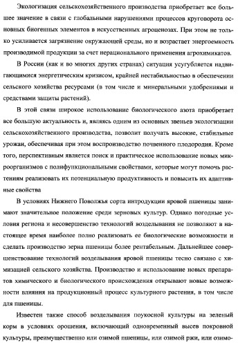 Способ возделывания яровой пшеницы предпочтительно в зоне светло-каштановых почв нижнего поволжья (варианты) (патент 2348137)