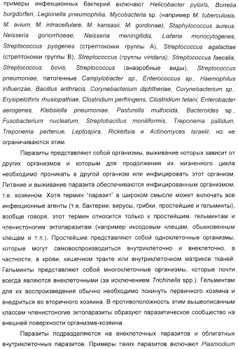 Мотивы последовательности рнк в контексте определенных межнуклеотидных связей, индуцирующие специфические иммуномодулирующие профили (патент 2435851)