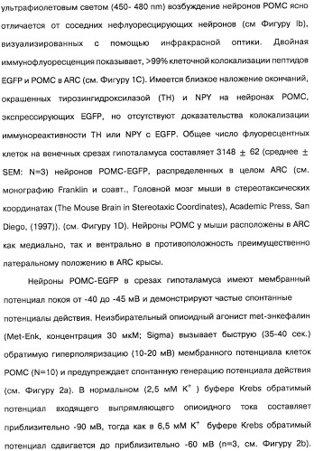Способ модификации пищевого поведения и применение pyy или его агониста в качестве средства для модификации пищевого поведения (патент 2317104)