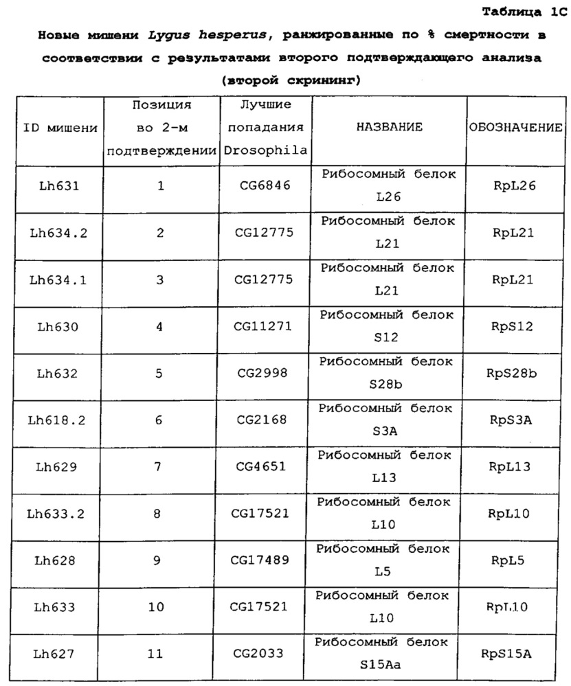 Подавление экспрессии генов у насекомых-вредителей (патент 2665549)