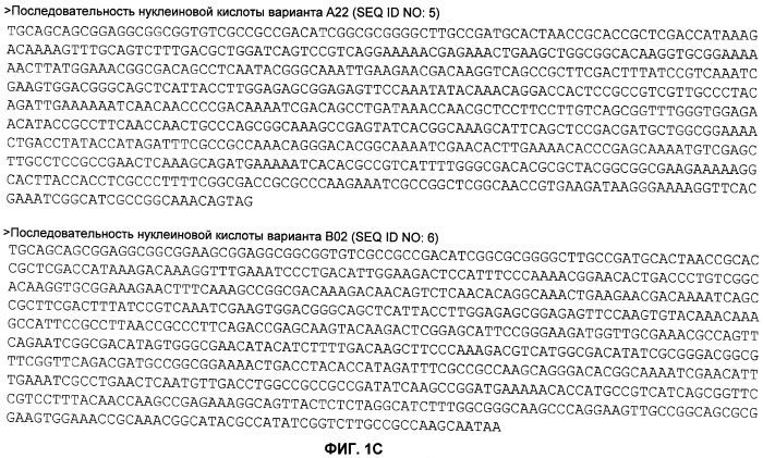 Нелипидизированные варианты антигенов neisseria meningitidis orf2086 (патент 2546873)