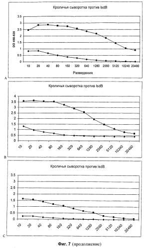 Иммуногенная композиция (патент 2402347)