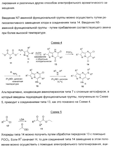 Новые пиразолопиримидины как ингибиторы циклин-зависимой киназы (патент 2380369)