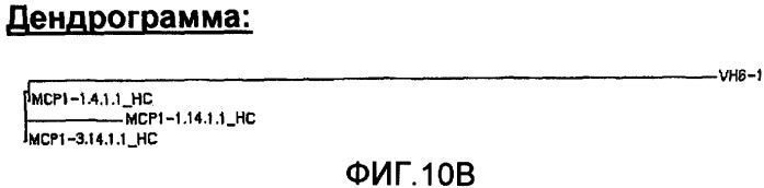 Антитела против моноцитарного хемоаттрактантного белка-1 (мср-1) и их применение (патент 2339647)