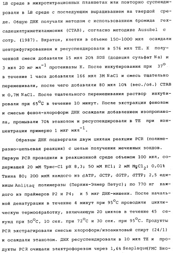 Vgc2 днк salmonella typhimurium, мутантная бактерия, обладающая пониженной способностью к адаптации к условиям окружающей среды, и способ ее получения (патент 2370541)