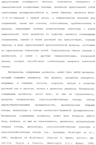 Клетка-хозяин trichoderma reesei для получения целлюлолитической белковой композиции, целлюлолитическая белковая композиция, способы ее получения и применения (патент 2494146)