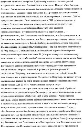 Способ избирательного получения растений с мужской или женской стерильностью (патент 2320722)