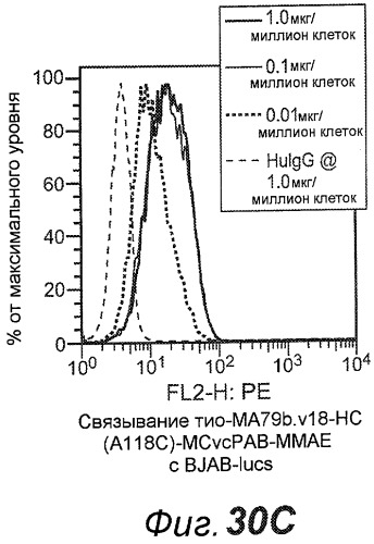 Анти-cd79b антитела и иммуноконъюгаты и способы их применения (патент 2511410)