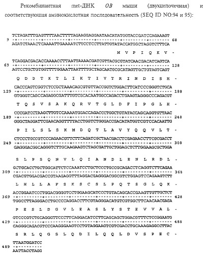 Полипептид ожирения (ов)(варианты), его аналог (варианты) и слитый белок (варианты), изолированная молекула нуклеиновой кислоты, молекула днк, рекомбинантный вектор клонирования, рекомбинантный вектор экспрессии, фармацевтическая композиция, моноклональное и поликлональное антитело (патент 2273645)