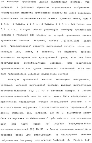 Гены corynebacterium glutamicum, кодирующие белки метаболических путей (патент 2306339)