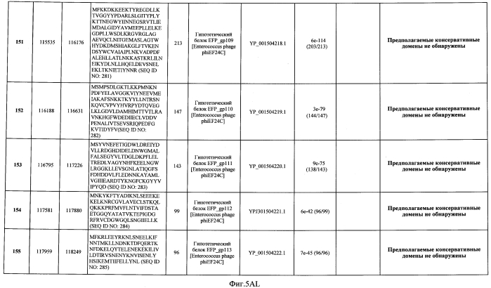 Бактериофаг, обладающий активностью против pseudomonas aeruginosa, белки бактериофага и способы их применения (патент 2580248)