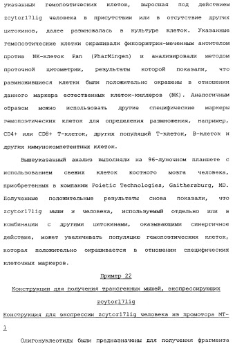 Новый лиганд рецептора цитокина zcytor17 (патент 2360923)