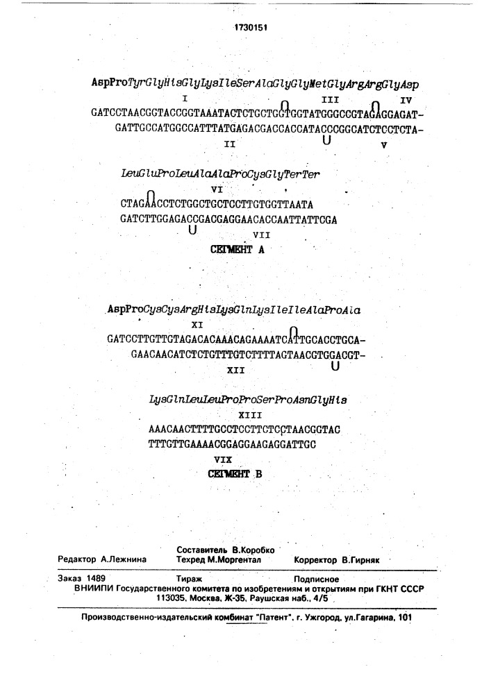 Рекомбинантная плазмидная днк р 9 f мд, кодирующая гибридный полипептид р199 - asp pro cys cys - vp1 /200 - 213/ - pro pro ser pro - vp1 /131 - 152/ pro cys gly и штамм бактерий еsснеriснiа coli продуцент гибридного полипептида р199 - asp pro cys gly - vp1 /200 - 213/ pro pro ser pro - vp1 /131 - 152/ - pro cys gly (патент 1730151)