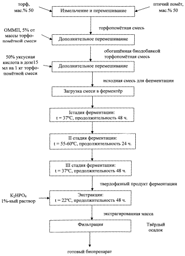 Способ получения биопрепарата для кормопроизводства (патент 2557191)