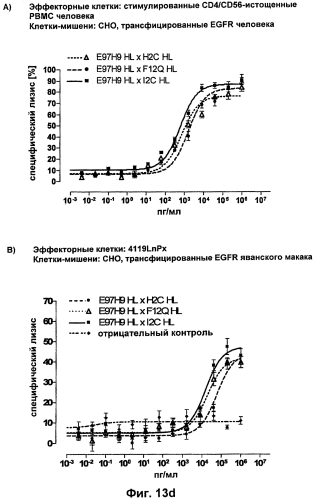 Cd3-эпсилон-связывающий домен с межвидовой специфичностью (патент 2561457)