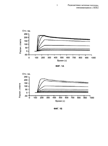 Радиоактивно меченые пептиды, связывающиеся с her2 (патент 2592685)