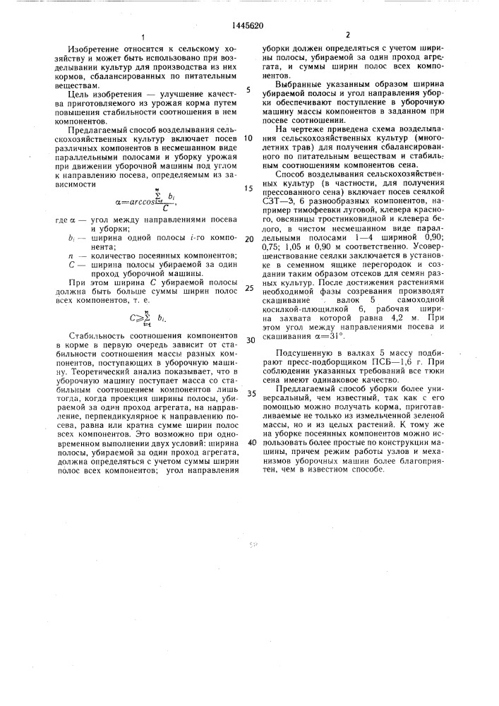 Способ возделывания сельскохозяйственных культур (патент 1445620)