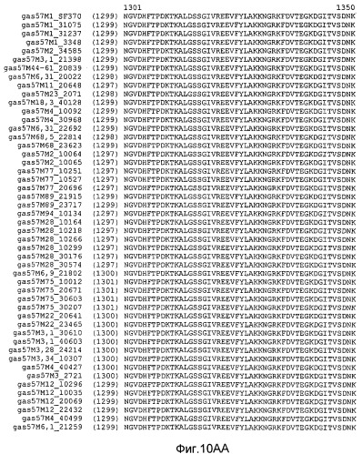 Мутантные антигены gas57 и антитела против gas57 (патент 2471497)