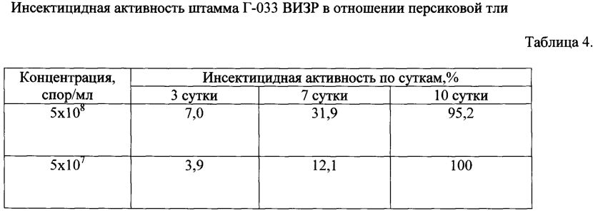 Штамм гриба lecanicillium muscarium, обладающий инсектоакарицидной и антибиотической активностью для борьбы против сосущих вредителей, грибных и бактериальных болезней (патент 2598251)