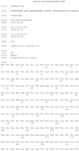 Композиции для иммунизации против staphylococcus aureus (патент 2508126)