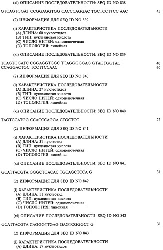 Гемопоэтический белок (варианты), последовательность днк, способ получения гемопоэтического белка, способ селективной экспансии кроветворных клеток, способ продуцирования дендритных клеток, способ стимуляции продуцирования кроветворных клеток у пациента, фармацевтическая композиция, способ лечения (патент 2245887)