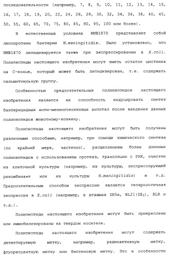 Химерные, гибридные и тандемные полипептиды менингококкового белка nmb1870 (патент 2431671)