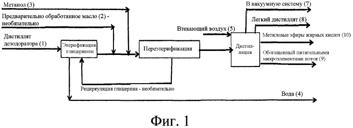 Способ автокаталитической этерификации жирных кислот (патент 2558364)