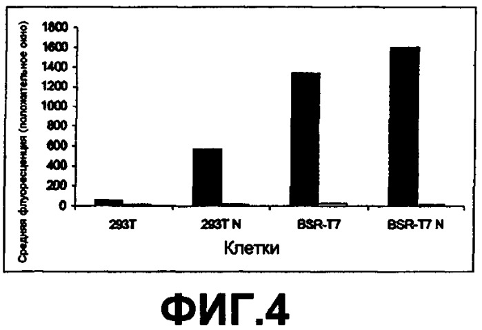 Способ продуцирования репликативной частицы вируса гриппа, композиция клеток (варианты), композиция клеточной культуры и ее применение (патент 2435855)