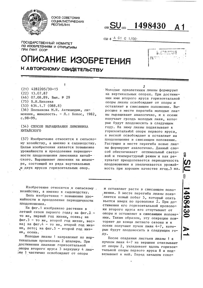 Способ выращивания лимонника китайского (патент 1498430)