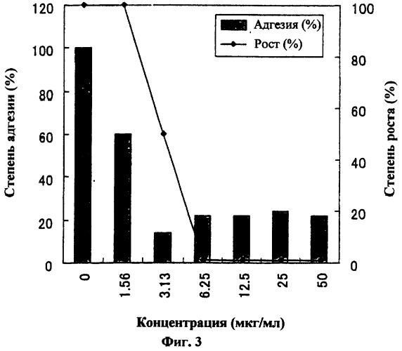 Ген синтеза клеточной стенки грибков (патент 2286387)