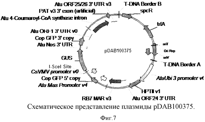 Опосредованная наночастицами доставка сиквенс-специфичных нуклеаз (патент 2556376)