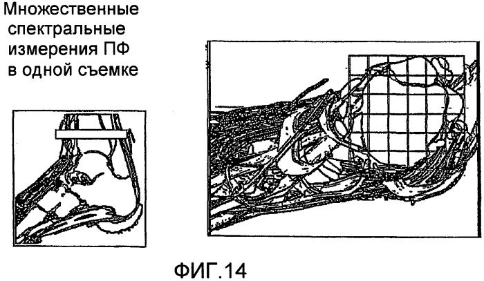 Оценивание структуры с использованием пространственно-частотного анализа (патент 2423718)