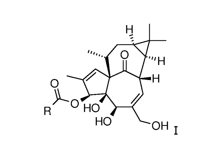 Ингенол-3-ацилаты i (патент 2575349)