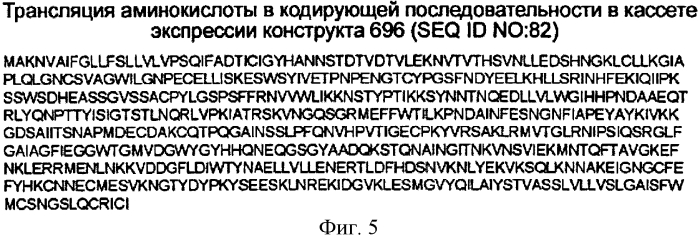 Химерные вирусоподобные частицы, содержащие гемагглютинин, сходные с частицами вируса гриппа (патент 2569195)