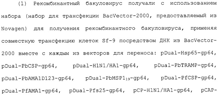 Вектор для переноса и вакцина против туберкулеза (патент 2453603)