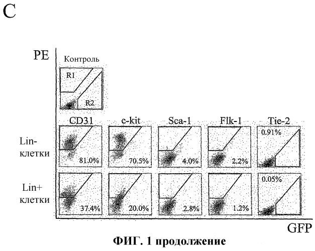 Способ лечения ретинопатии при недоношенности и родственных ретинопатических заболеваний (патент 2403906)