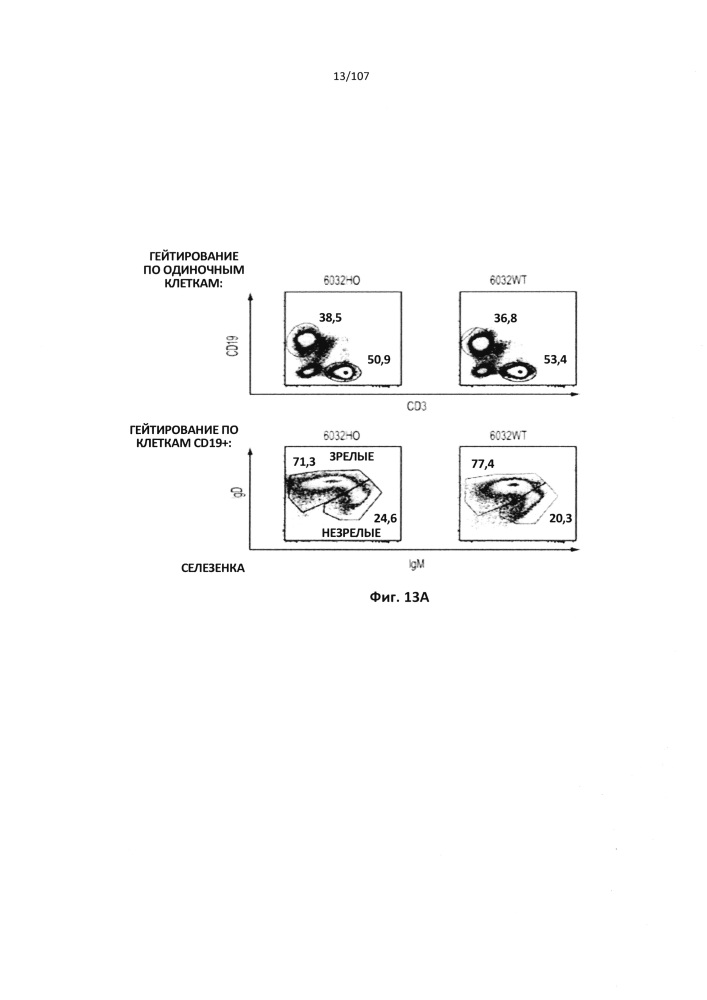 Не являющиеся человеком животные с модифицированными последовательностями тяжелых цепей иммуноглобулинов (патент 2618886)